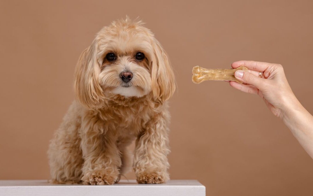 Are Milk Bones Bad for Dogs