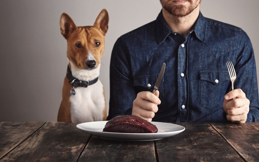 Is Beef Liver Good For Dogs