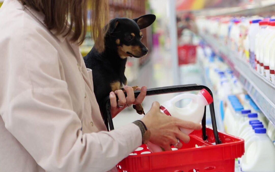 Is Goat Milk Good for Dogs: Complete Guide